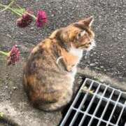 ヒメ日記 2026/02/18 08:30 投稿 るな ぽっちゃりきぶん