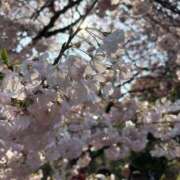 ヒメ日記 2026/03/28 14:59 投稿 ななせ 白い巨乳