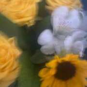 ヒメ日記 2026/04/21 15:24 投稿 嶋ほのみ 手コキ研修塾