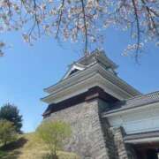 ヒメ日記 2026/04/04 18:16 投稿 コハル ラブコレクション