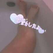 せいな ぬくぬく☀️ サマンサ(和歌山)