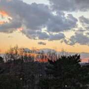 ヒメ日記 2026/02/16 16:14 投稿 まみ 谷町豊満奉仕倶楽部