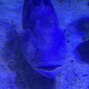 アクア アクア（スピード日本橋店） スピード日本橋店