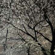 アクア アクア（スピード日本橋店） スピード日本橋店