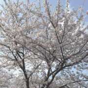 ヒメ日記 2026/03/29 18:01 投稿 エルメス、暗黙のルール。 GOOD-グッド-