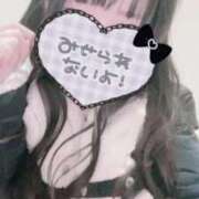 ヒメ日記 2026/02/20 10:02 投稿 いの 男爵