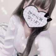 ヒメ日記 2026/02/21 10:03 投稿 いの 男爵