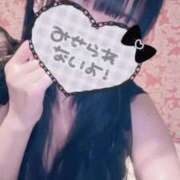 ヒメ日記 2026/02/23 10:03 投稿 いの 男爵