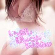 ヒメ日記 2026/03/28 11:56 投稿 こい プリンセスセレクション姫路