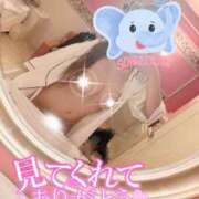 こい 先ほどのお兄様💗 プリンセスセレクション姫路