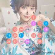 ヒメ日記 2026/06/24 12:04 投稿 せいな セグレターリオ