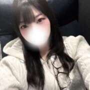 ヒメ日記 2026/02/17 15:00 投稿 ういか【北国育ちの美少女】 STELLA TOKYO－ステラトウキョウ－