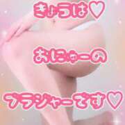 ヒメ日記 2026/03/12 08:10 投稿 たかこ 奥鉄オクテツ東京店（デリヘル市場）