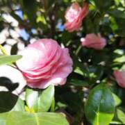 ヒメ日記 2026/03/23 22:09 投稿 たかこ 奥鉄オクテツ東京店（デリヘル市場）