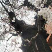 ヒメ日記 2026/03/25 23:22 投稿 たかこ 奥鉄オクテツ東京店（デリヘル市場）