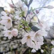 ヒメ日記 2026/04/01 06:09 投稿 たかこ 奥鉄オクテツ東京店（デリヘル市場）