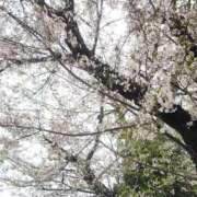 ヒメ日記 2026/04/03 21:06 投稿 たかこ 奥鉄オクテツ東京店（デリヘル市場）