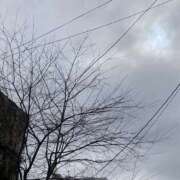 ヒメ日記 2026/02/26 11:58 投稿 ちとせ 川越おかあさん