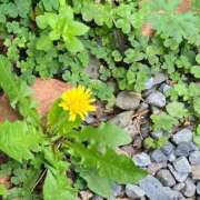 ヒメ日記 2026/04/10 13:08 投稿 ちとせ 川越おかあさん