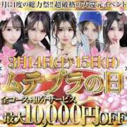 ヒメ日記 2026/03/14 11:51 投稿 皐月/さつき Muteki Platinum