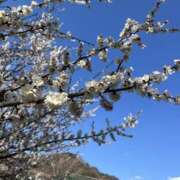 ヒメ日記 2026/03/14 23:58 投稿 秦野すず 五反田マーマレード(ユメオト)