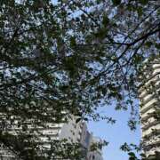 ヒメ日記 2026/04/11 15:46 投稿 秦野すず 五反田マーマレード(ユメオト)