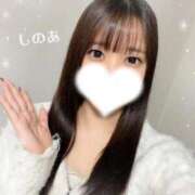 ヒメ日記 2026/02/14 17:20 投稿 しのあ 萌えカワ