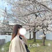 ヒメ日記 2026/02/17 06:12 投稿 しのあ 萌えカワ