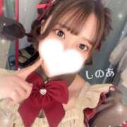 ヒメ日記 2026/02/17 11:35 投稿 しのあ 萌えカワ