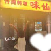 ヒメ日記 2026/02/17 21:12 投稿 しのあ 萌えカワ