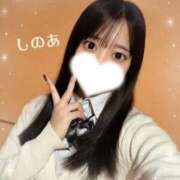 ヒメ日記 2026/02/18 06:12 投稿 しのあ 萌えカワ