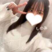 ヒメ日記 2026/02/18 23:17 投稿 しのあ 萌えカワ