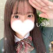 ヒメ日記 2026/02/19 07:13 投稿 しのあ 萌えカワ