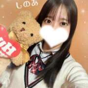 ヒメ日記 2026/02/20 06:12 投稿 しのあ 萌えカワ