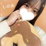 ヒメ日記 2026/02/20 08:12 投稿 しのあ 萌えカワ