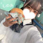 ヒメ日記 2026/02/20 09:12 投稿 しのあ 萌えカワ