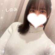 ヒメ日記 2026/02/20 12:20 投稿 しのあ 萌えカワ