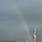 ヒメ日記 2026/02/15 01:21 投稿 ひなた 兵庫加東小野ちゃんこ