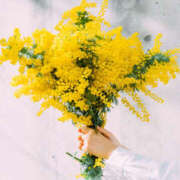 ヒメ日記 2026/03/08 12:24 投稿 ひなた 兵庫加東小野ちゃんこ