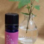 ヒメ日記 2026/03/11 21:44 投稿 ひなた 兵庫加東小野ちゃんこ