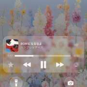 ヒメ日記 2026/03/16 17:21 投稿 ひなた 兵庫加東小野ちゃんこ