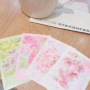 ヒメ日記 2026/03/19 05:42 投稿 ひなた 兵庫加東小野ちゃんこ