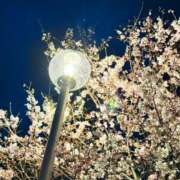 ヒメ日記 2026/03/26 07:19 投稿 ひなた 兵庫加東小野ちゃんこ