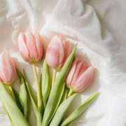 ヒメ日記 2026/04/05 08:32 投稿 ひなた 兵庫加東小野ちゃんこ