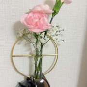 ヒメ日記 2026/04/25 08:46 投稿 ひなた 兵庫加東小野ちゃんこ