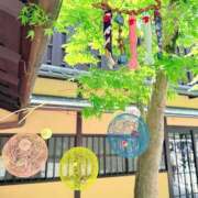 ヒメ日記 2026/05/06 06:22 投稿 ひなた 兵庫加東小野ちゃんこ