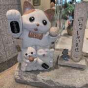 ヒメ日記 2026/02/20 21:27 投稿 岩田-いわた- ただ離婚してないだけ堺東店