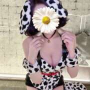 ヒメ日記 2026/02/17 17:22 投稿 ゆき sexis小山佐野店