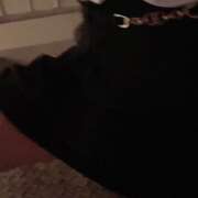 ヒメ日記 2026/03/06 00:25 投稿 七瀬（ななせ） 丸妻 錦糸町店