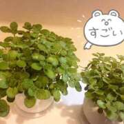 ヒメ日記 2026/06/24 01:36 投稿 乙目　ちあき OLセレクション宇都宮店